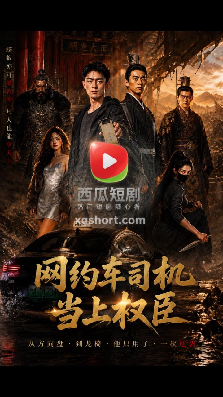 网约车司机当上权臣了封面